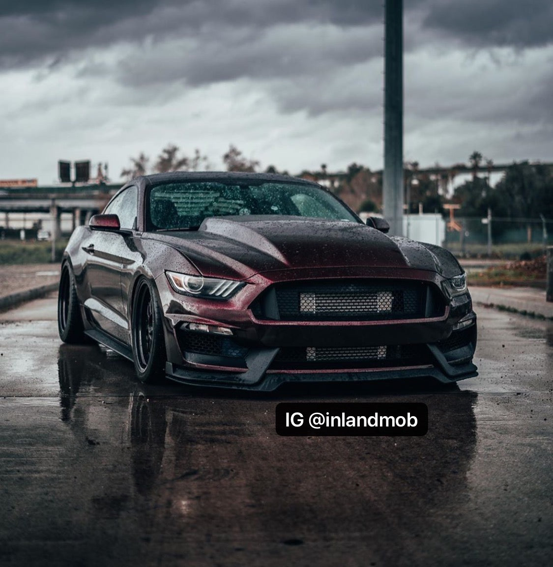 i5Autohaus GT350 Style Bumper for 2015-2017 Mustang image 1
