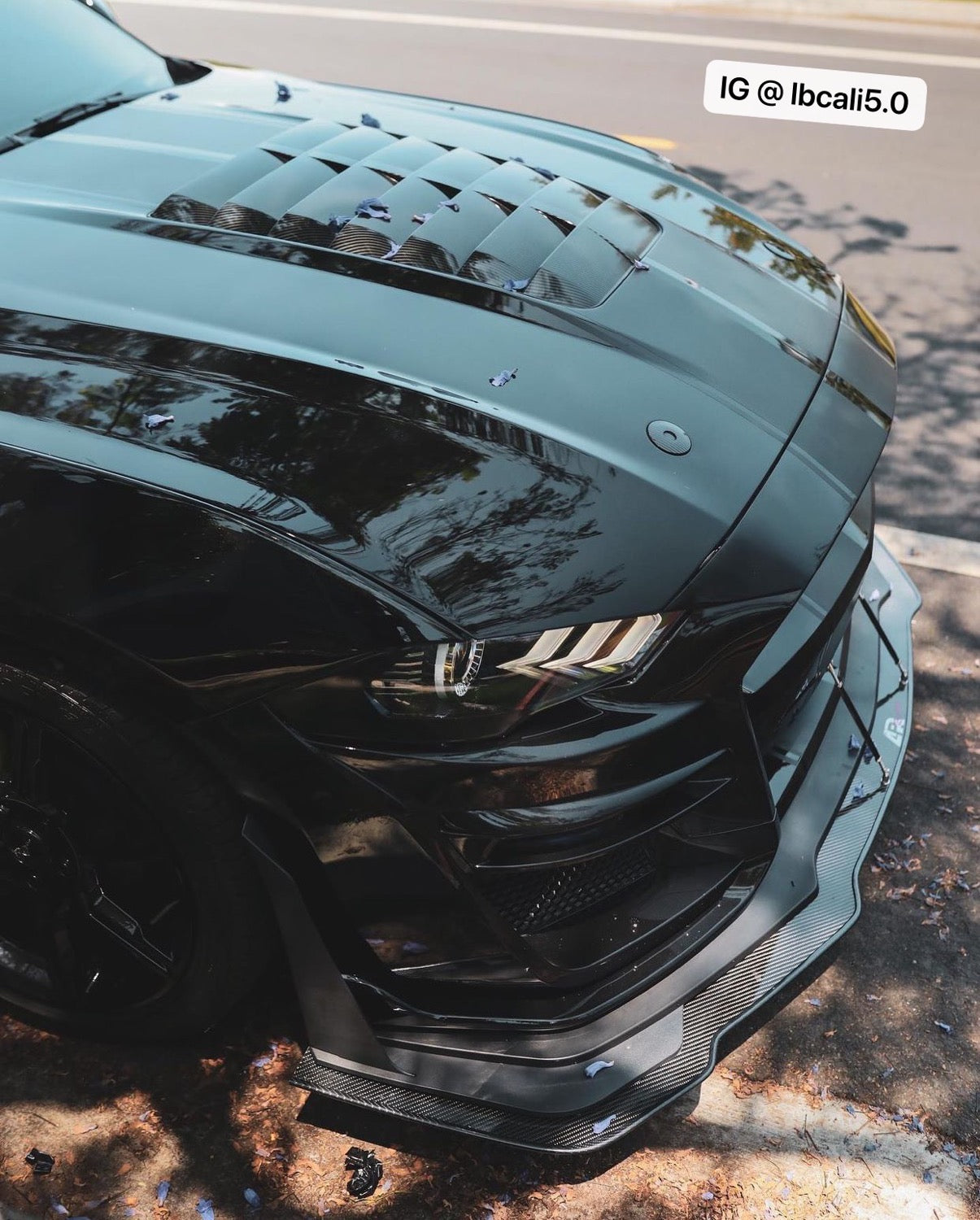 APR CF Splitter for 15-22 GT500 Bumper image 5