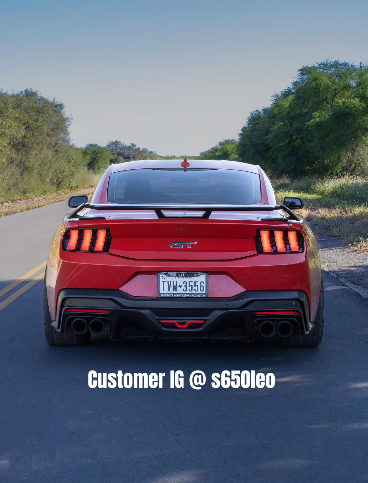 i5Autohaus 2024-2025 Mustang Dark Horse Style Rear Valance image 6