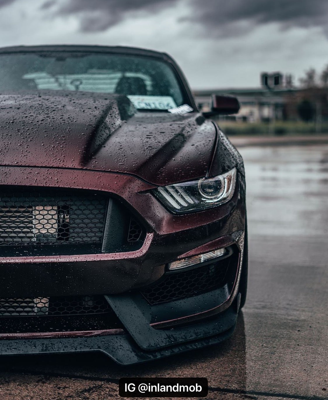 i5Autohaus GT350 Style Bumper for 2015-2017 Mustang image 6