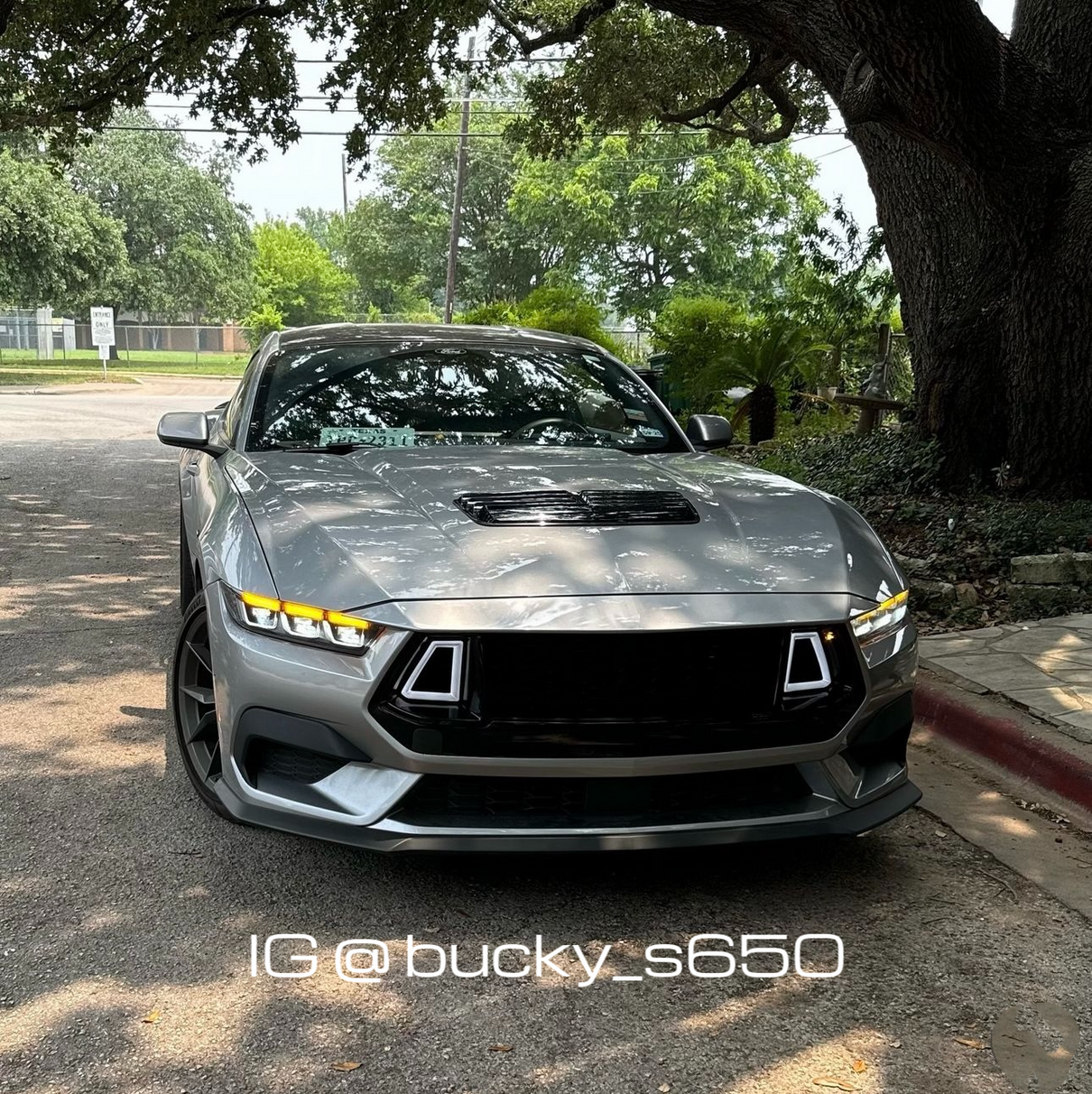 i5Autohaus 2024-2025 Mustang  Upper Grille W/DR image 10