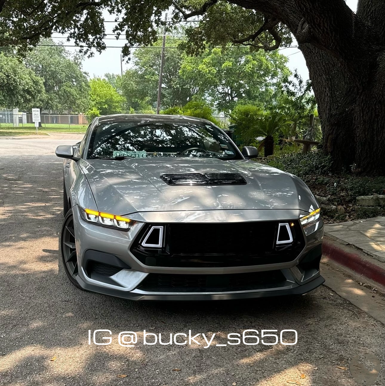 i5Autohaus 2024-2025 Mustang  Upper Grille W/DR image 10