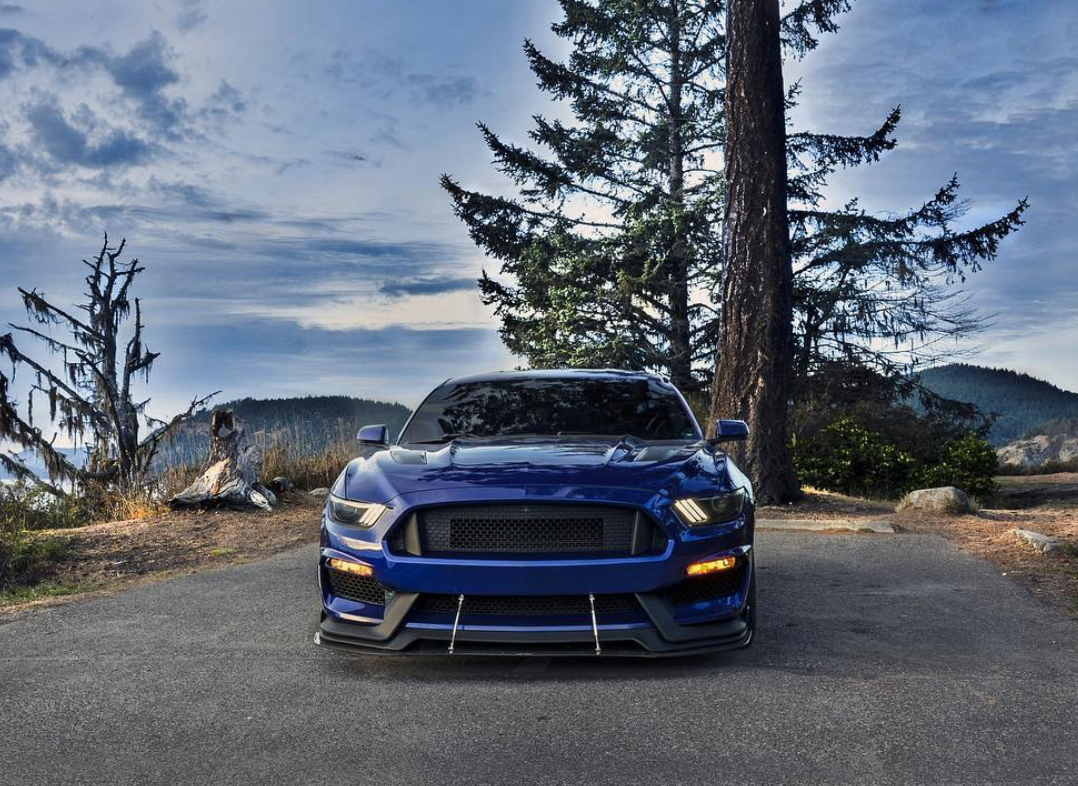 i5Autohaus GT350 Style Bumper for 2015-2017 Mustang image 8