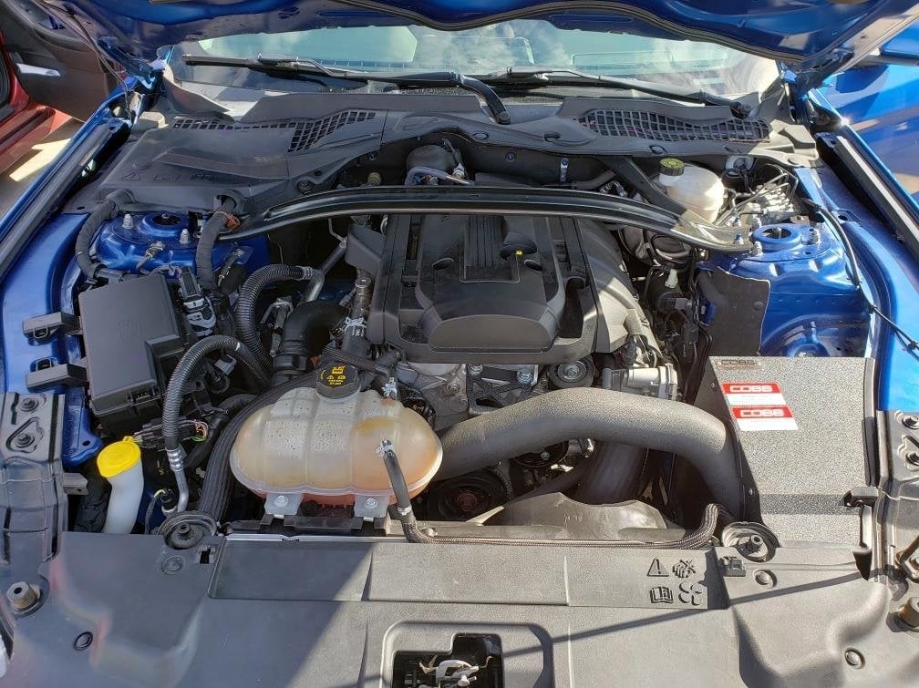 2015-2023 Ecoboost Mustang Cold-air Intake image 5
