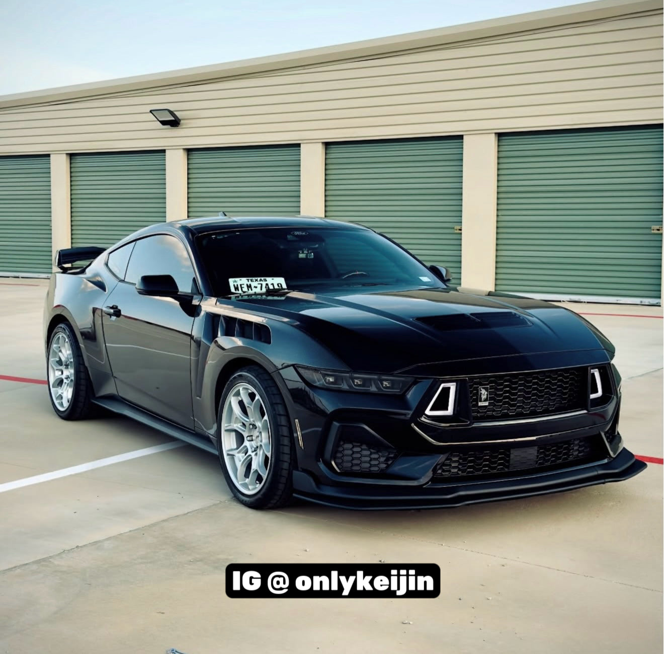 i5Autohaus 2024-2025 Mustang  Upper Grille W/DR image 4