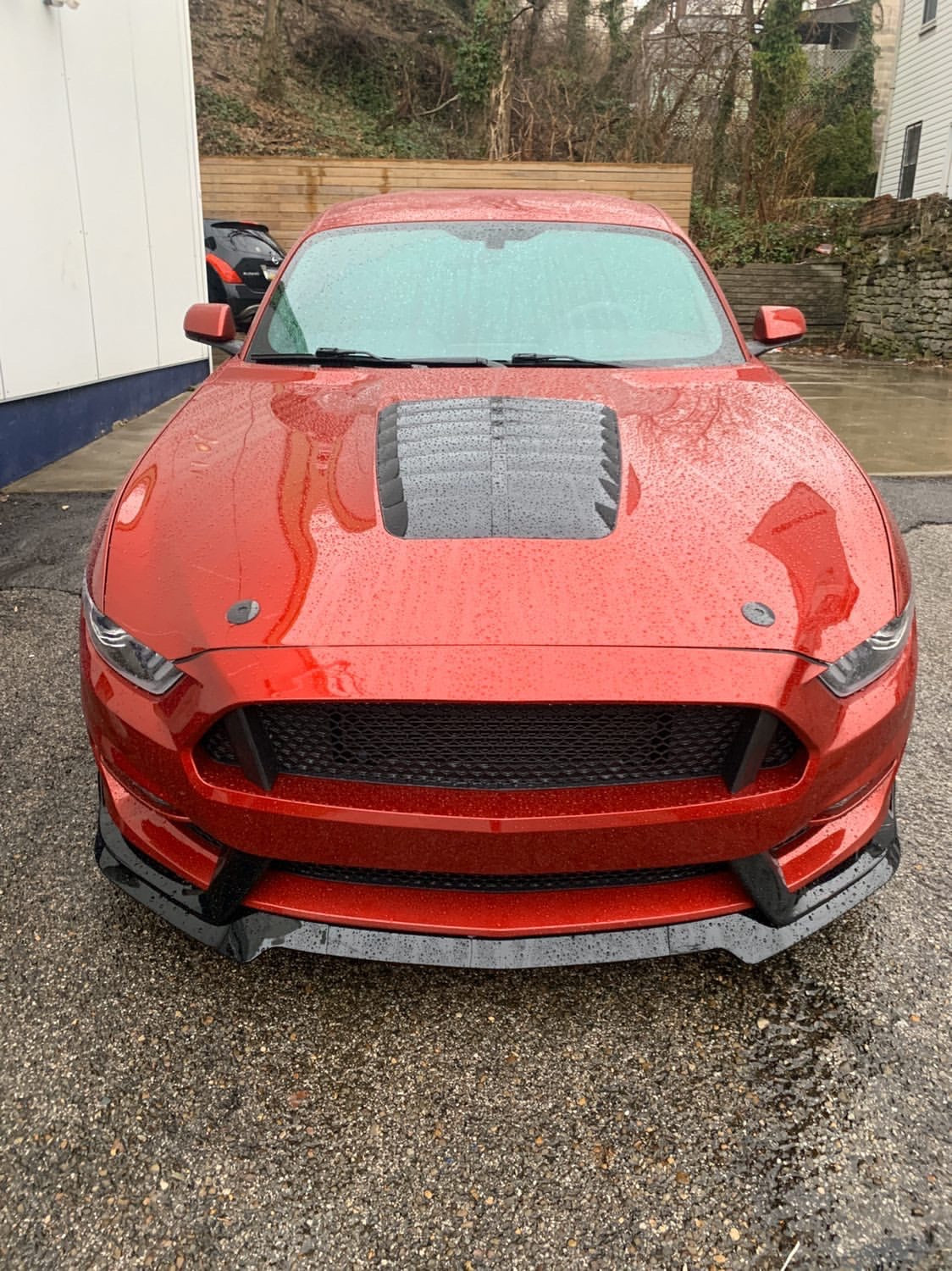 i5Autohaus GT500 Style Hood for 2015-2017 Mustang image 7