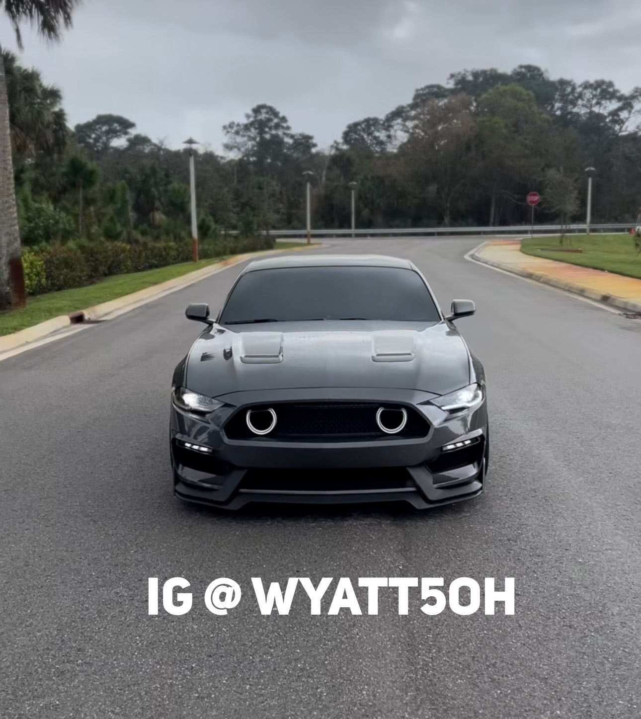 i5Autohaus GT350 Style Bumper for 2018-2023 Mustang image 1