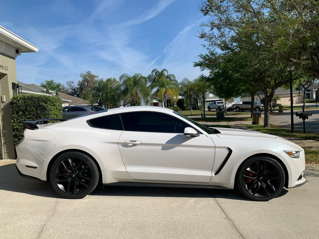 i5Autohaus 2015-2017 GT-350 Style Fenders - Aluminum image 1