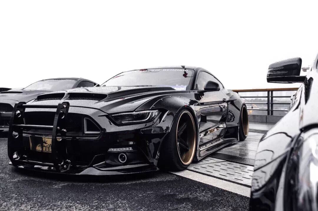 Interceptor Style Push Bar for 2015-2023 Mustang