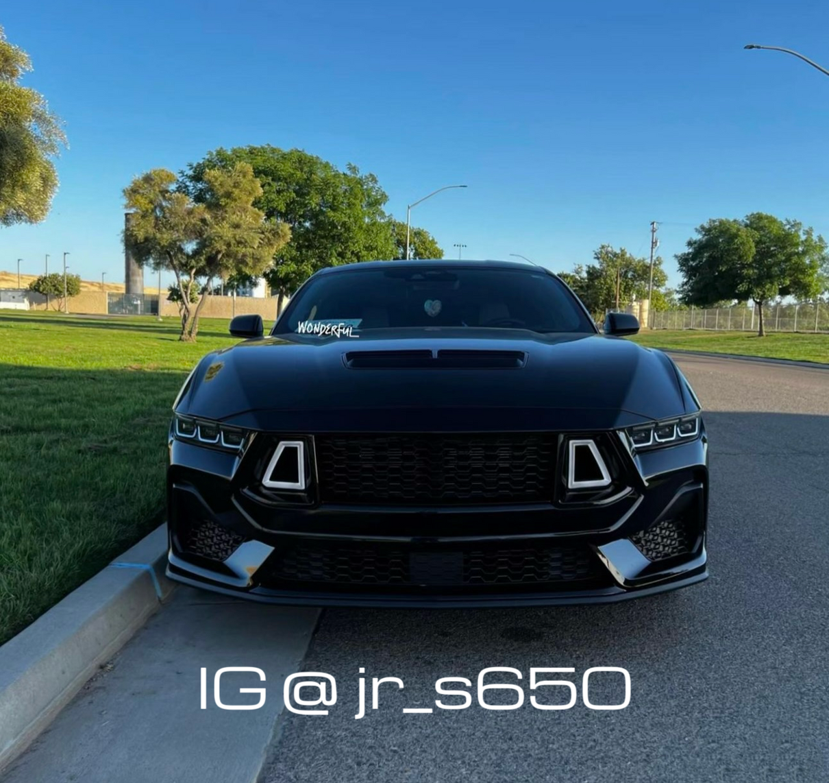 i5Autohaus 2024-2025 Mustang  Upper Grille W/DR image 11