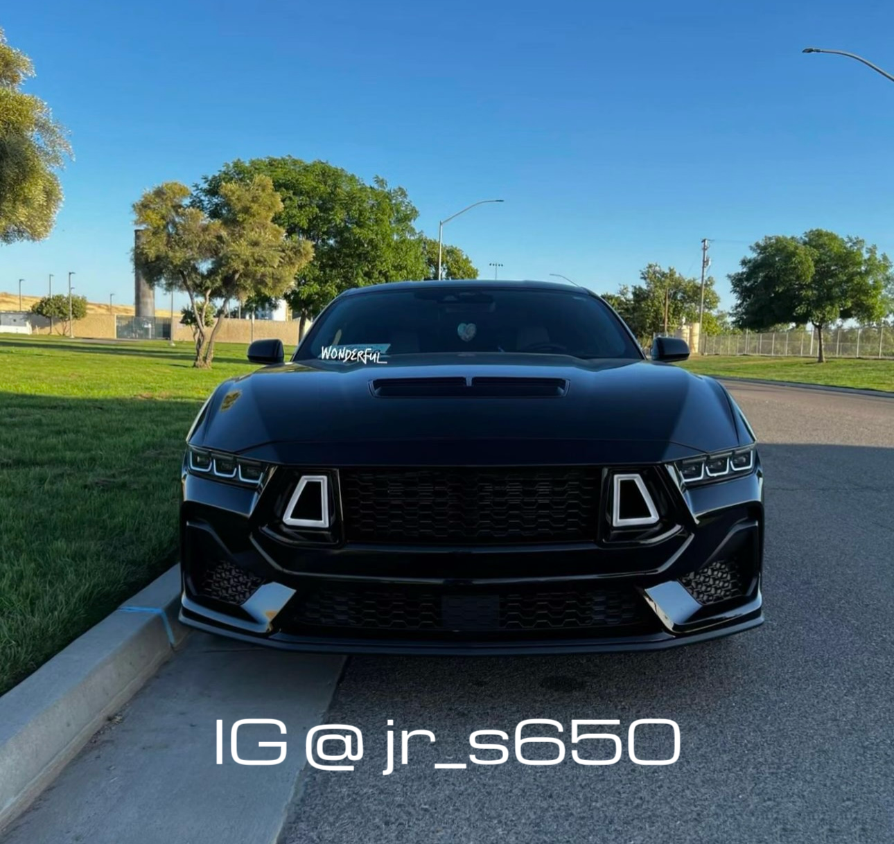 i5Autohaus 2024-2025 Mustang  Upper Grille W/DR image 11