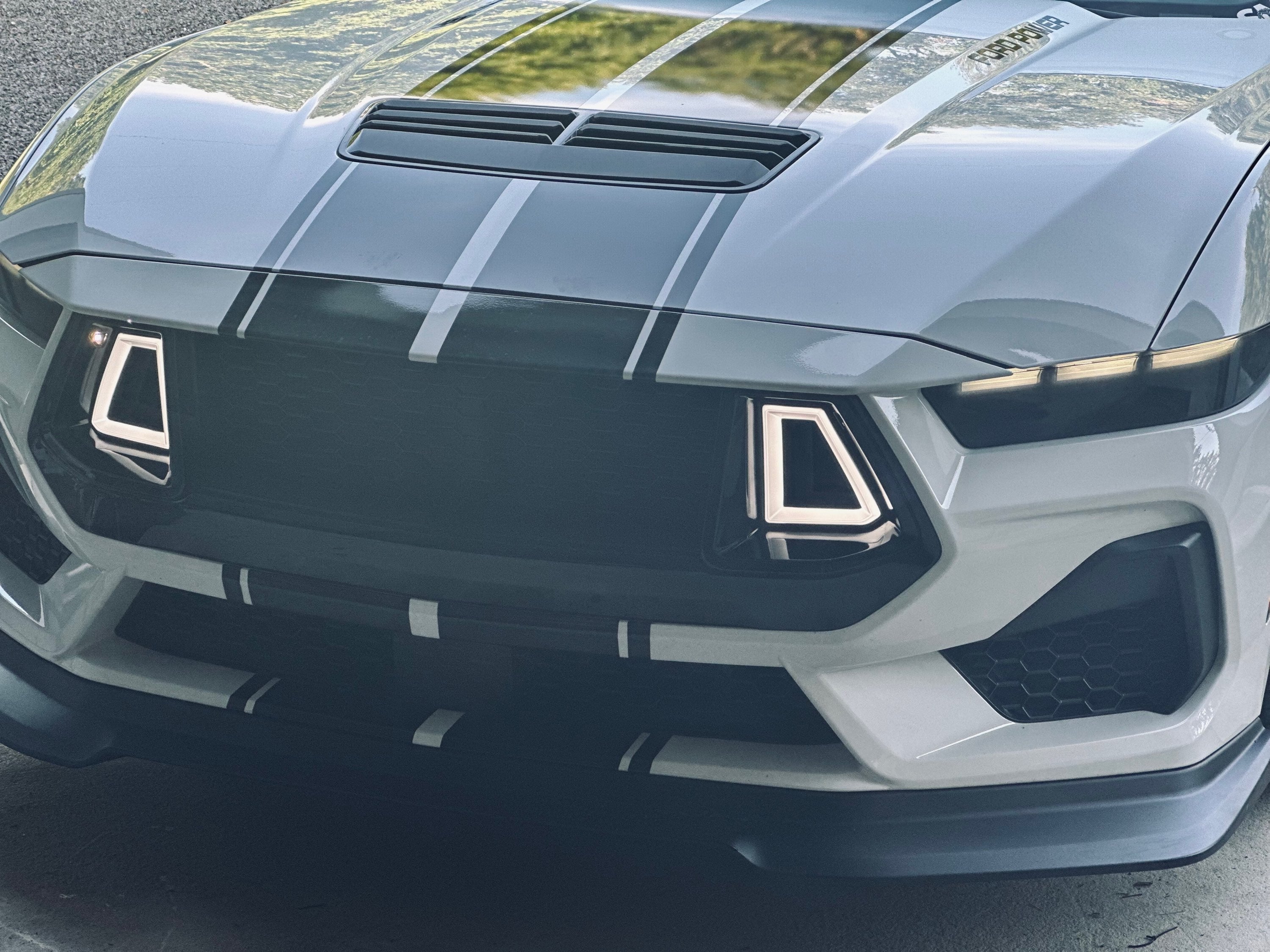 i5Autohaus 2024-2025 Mustang  Upper Grille W/DR image 8